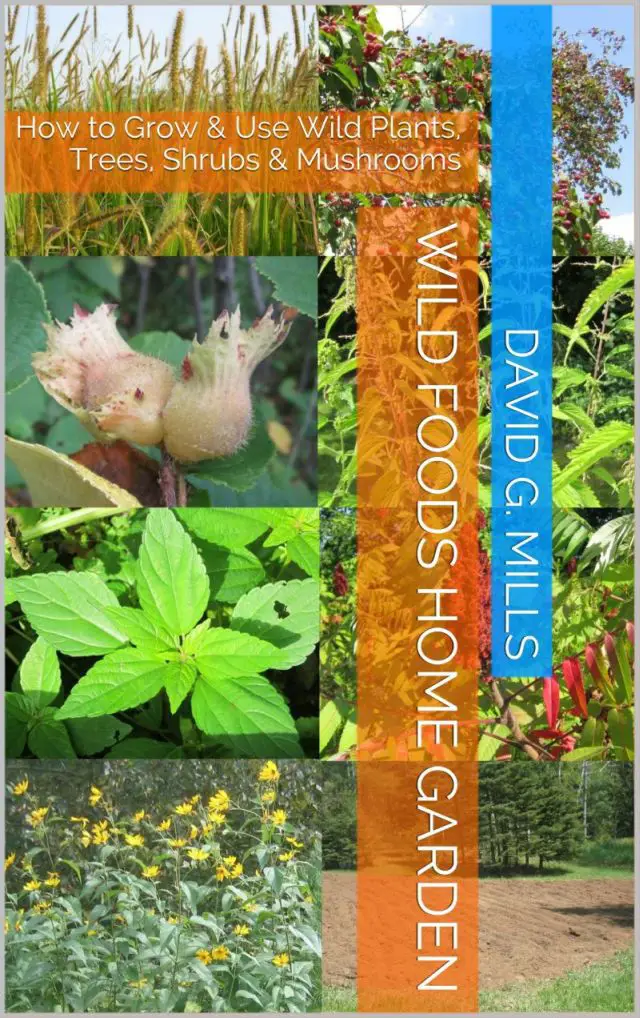 Wild Foods Home Garden Cover Photo